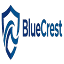 bluecrest.developerplug.com favicon