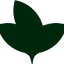 cayugacollection.com favicon