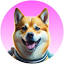 dogeversehubs.pages.dev favicon
