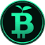 greenbitcoin.finance favicon