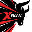 m.xbull.art favicon