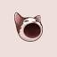 popcats.top favicon