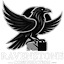 ravenstoneconstruction.com