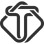 tokensise.pro favicon