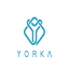 yorka.org favicon